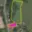 Prodej stavební parcely 6 121 m² Velké Kunětice