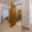 Prodej bytu 2+1 53 m² Ostrava Hrabůvka, U Lesa