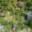 Prodej stavební parcely 1 100 m² Plzeň Litice