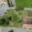 Prodej stavební parcely 742 m² Brumovice, 