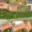 Prodej stavební parcely 506 m² Lanžhot, 