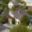 Prodej chaty 54 m² Obrnice