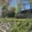 Prodej zahrady 365 m² Tachov, Příčná