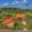 Prodej rodinného domu 155 m² Smrček