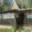 Prodej chaty 28 m² Ledenice, 
