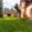Prodej zemědělské usedlosti 235 m² Nové Město pod Smrkem, 