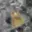 Prodej chaty 15 m² Liberec XIV-Ruprechtice