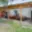 Pronájem bytu 1+1 32 m² Štoky