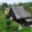 Prodej chaty 25 m² Tachov