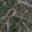Prodej rodinného domu 96 m² Dolní Bousov Horní Bousov