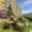 Prodej bytu 3+1 63 m² Chomutov, Písečná