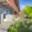 Pronájem bytu 2+kk 70 m² Chomutov, Lipská