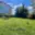 Prodej zahrady 239 m² Liberec, Uralská