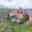 Prodej chalupy 95 m² Smilovy Hory