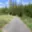 Prodej lesa 287 m² Kladruby