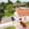 Prodej rodinného domu 200 m² Držovice, SNP