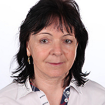  Ing. Dana Židek
