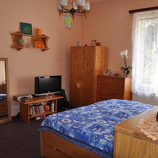 Pronájem bytu 1+1 42 m² České Budějovice