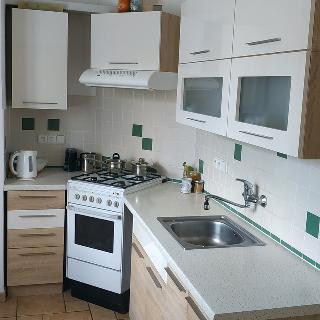 Pronájem bytu 2+1 61 m² Plzeň Jižní Předměstí, Majerova