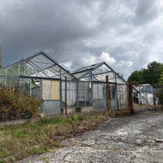Prodej ostatních pozemků 3572 m² Písek