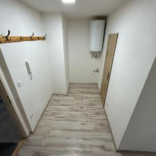 Pronájem bytu 1+1 36 m² Ktiš Březovík