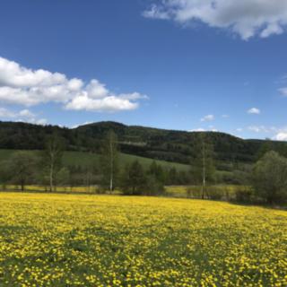 Pronájem bytu 2+1 53 m² Ktiš Březovík