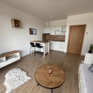 Pronájem bytu 1+kk, garsoniery 26 m² České Budějovice