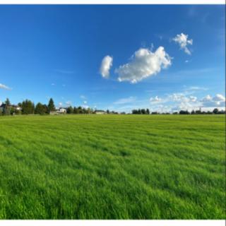 Prodej stavební parcely 866 m² Bukovina u Přelouče
