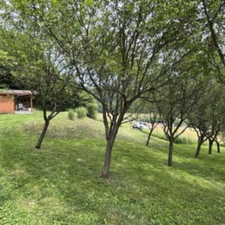 Prodej zahrady 3400 m² Liptál