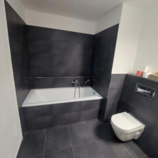 Pronájem bytu 1+kk, garsoniery 42 m² České Budějovice