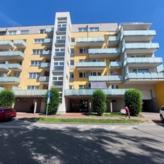 Pronájem bytu 1+kk, garsoniery 42 m² České Budějovice