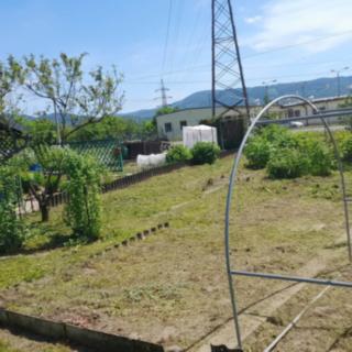 Prodej zahrady 284 m² Šumperk, Vikýřovická