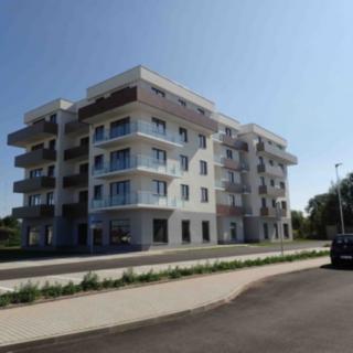 Pronájem bytu 1+kk, garsoniery 37 m² České Budějovice