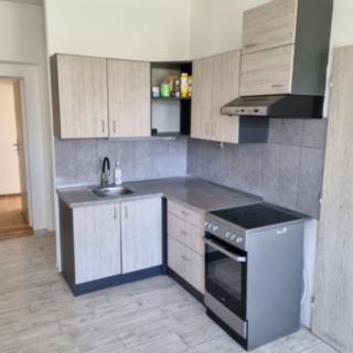 Pronájem bytu 3+kk 55 m² Mladé Buky