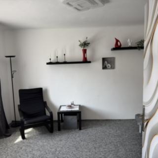 Pronájem bytu 1+1 30 m² Praha Krč, Stallichova