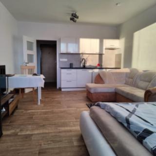 Pronájem bytu 1+kk, garsoniery 32 m² Opava