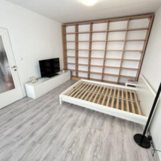 Pronájem bytu 1+1 38 m² Písek
