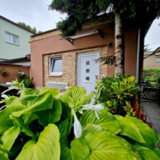 Pronájem bytu 1+kk a garsoniéry 40 m² Praha Satalice, Netřebická