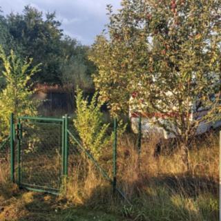 Pronájem zahrady 208 m² Rokycany Borek, V Plaňkách