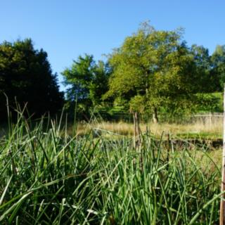 Prodej rodinného domu 90 m² Nepřevázka