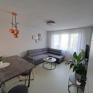 Pronájem bytu 3+1 66 m² České Budějovice 5, E. Beneše