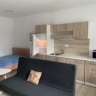 Pronájem bytu 1+kk a garsoniéry 26 m² České Budějovice, Novohradská