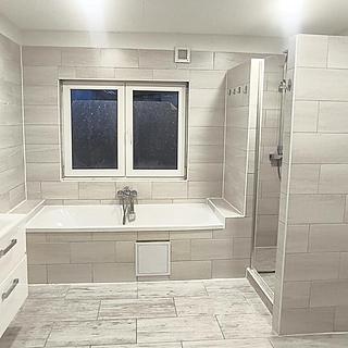 Pronájem rodinného domu 850 m² Podbořany, Vroutecká