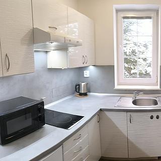 Pronájem bytu 1+1 38 m² České Budějovice 7