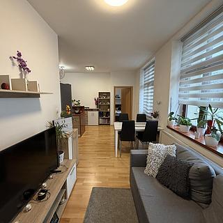 Pronájem bytu 2+kk 50 m&sup2; Praha