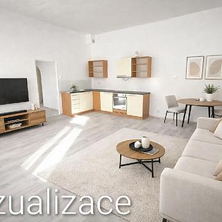 Pronájem bytu 1+1 42 m² České Budějovice 3, Skuherského