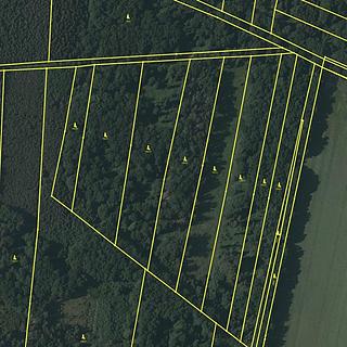 Prodej lesa 10 108 m² Břehov