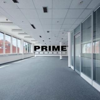 Pronájem kanceláře 300 m² Praha