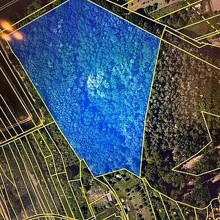 Prodej lesa 29 958 m² Březolupy