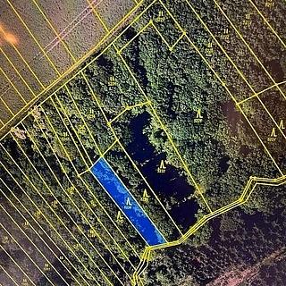 Prodej lesa 628 m² Březolupy
